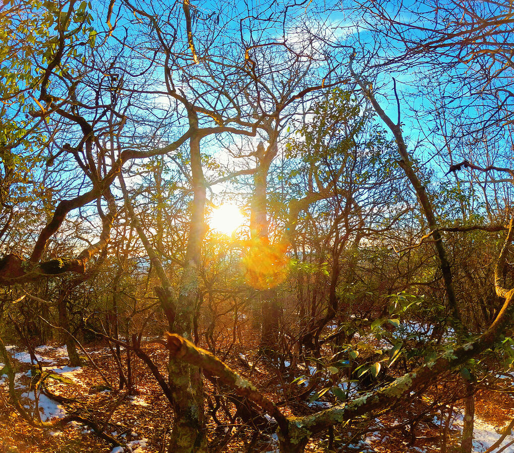 hoop.edits For this customer, I created some short-form basketball edits.